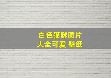 白色猫咪图片大全可爱 壁纸